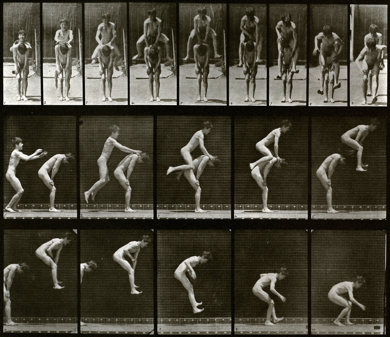 Tierbewegung von Eadweard Muybridge