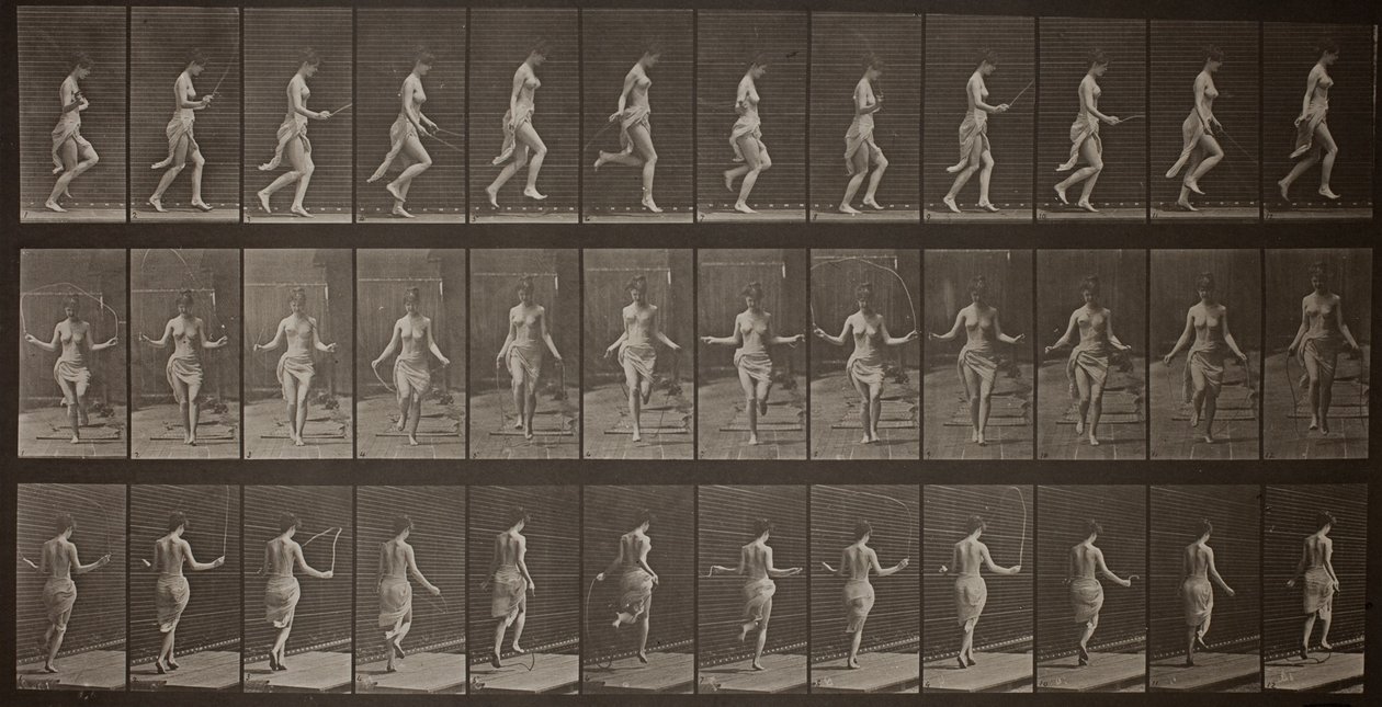Tierbewegung, Platte 174 von Eadweard Muybridge