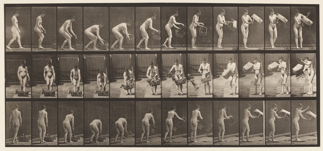 Tafel 213. Korb heben und leeren von Eadweard Muybridge