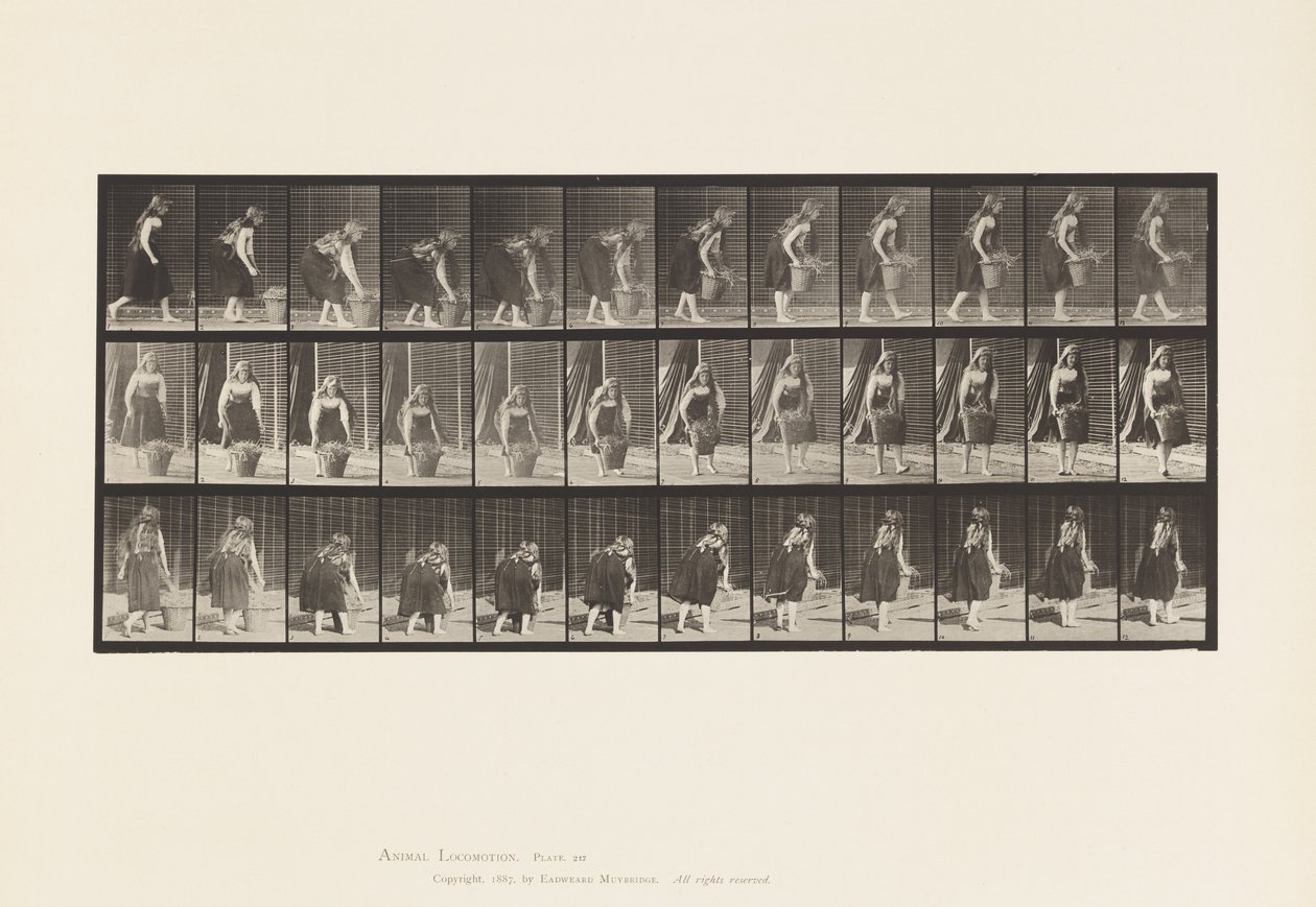 Tafel 217. Bücken, Heben und Tragen eines 30-Pfund-Korbs von Eadweard Muybridge