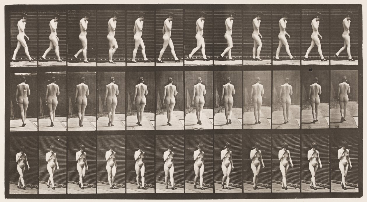 Tafel 23. Gehen, rechte Hand am Kinn, hochhackige Schuhe an von Eadweard Muybridge