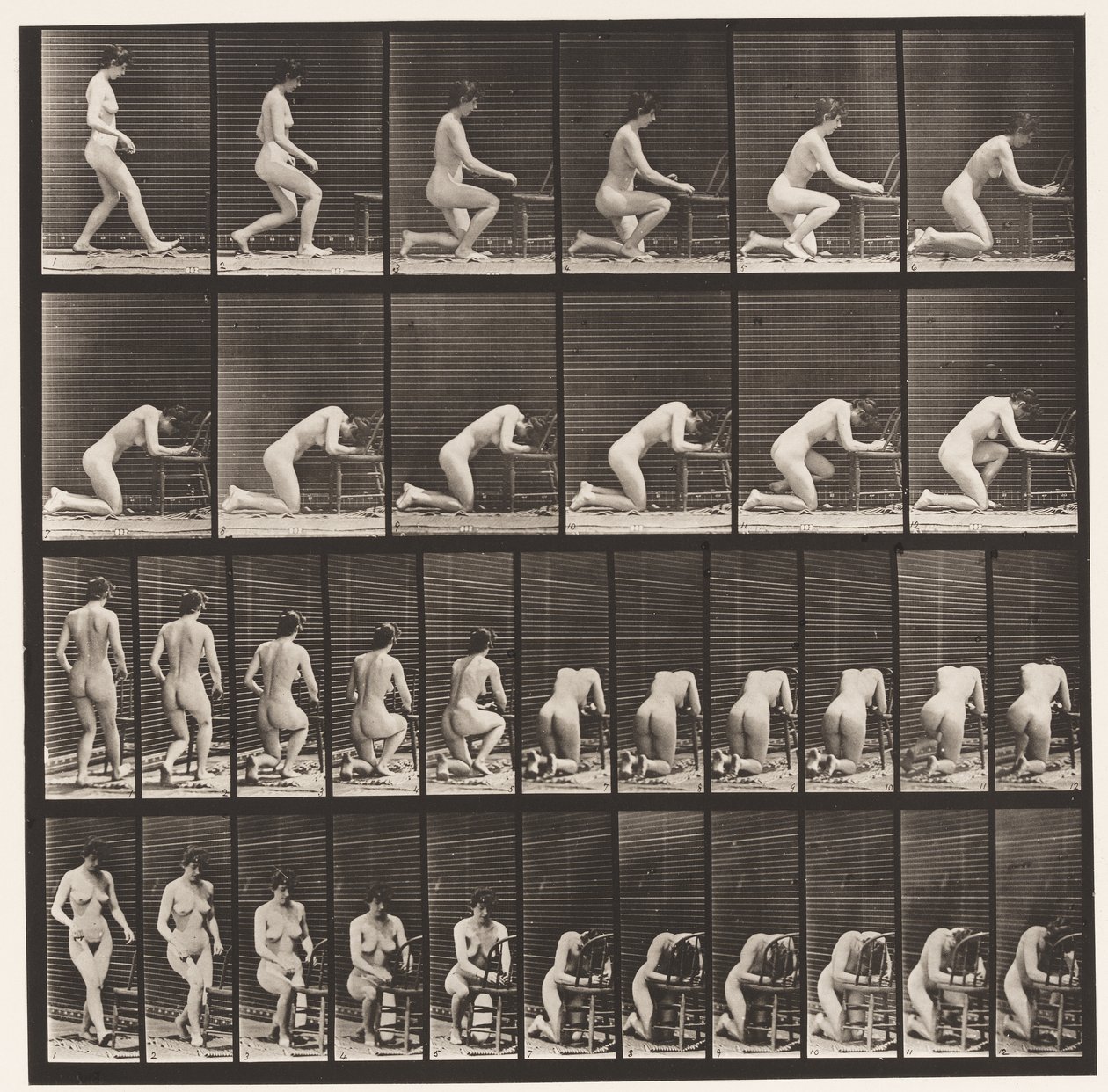 Tafel 254. Knien, Ellbogen auf dem Stuhl, Hände gefaltet von Eadweard Muybridge