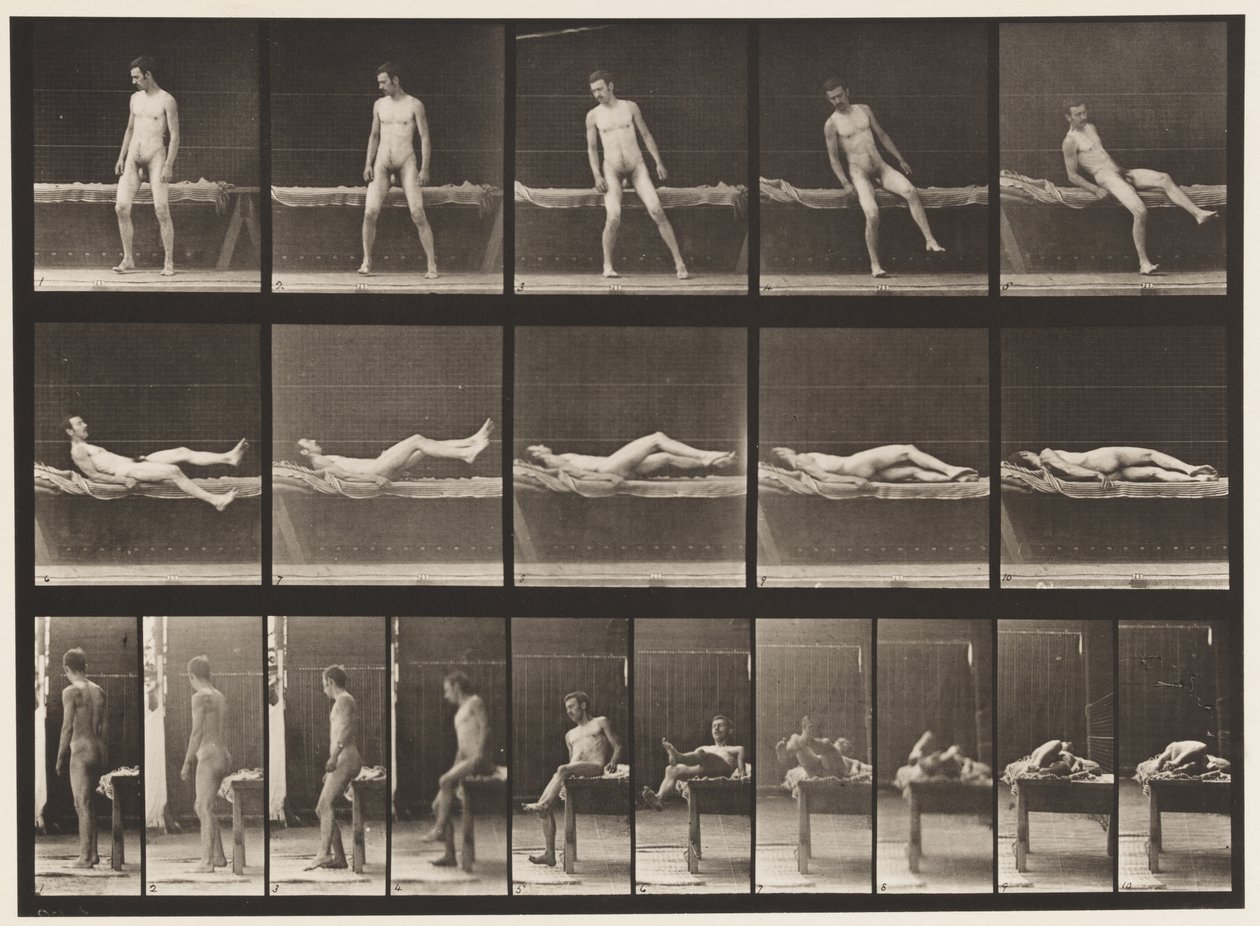 Tafel 259. Liegen auf einer Couch und Umdrehen auf die Seite, 1885 von Eadweard Muybridge