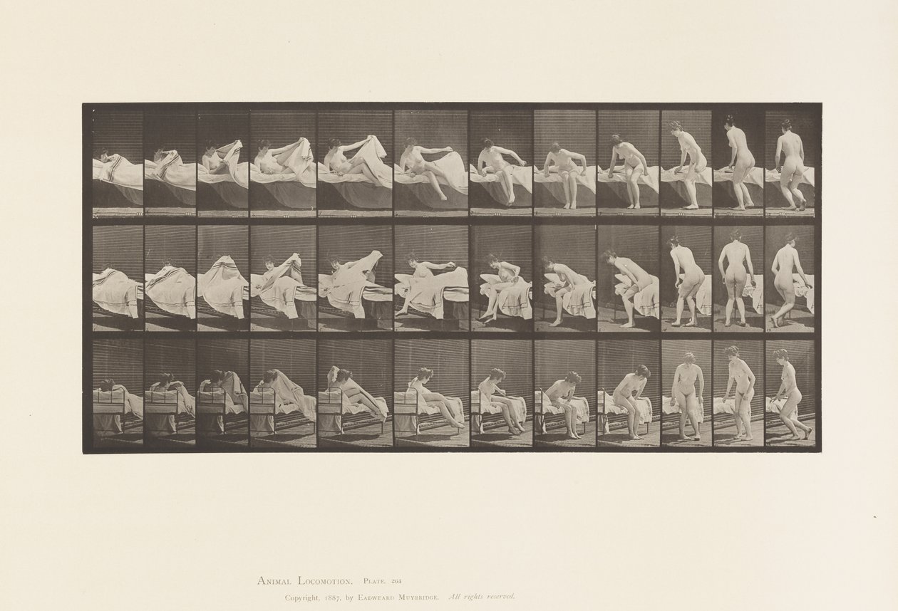 Tafel 264. Aufstehen und sich zum Knien vorbereiten von Eadweard Muybridge