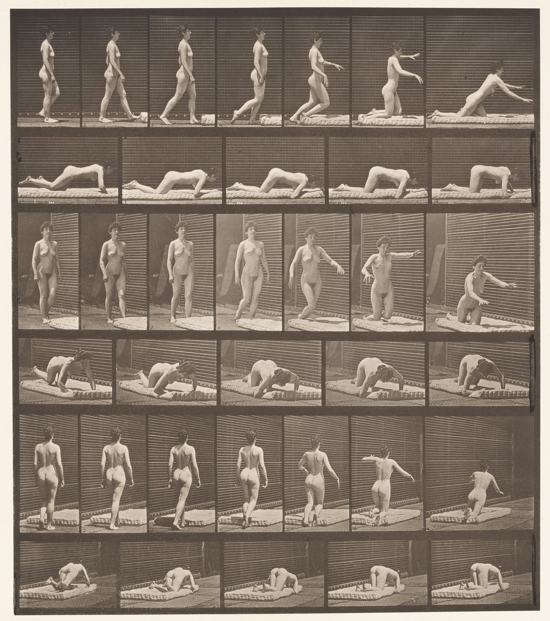 Tafel 272. Stolpern und auf den Boden fallen von Eadweard Muybridge