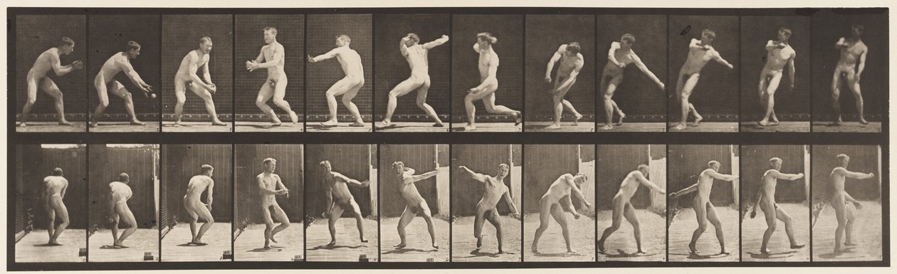 Tafel 284. Baseball; Fangen und Werfen von Eadweard Muybridge