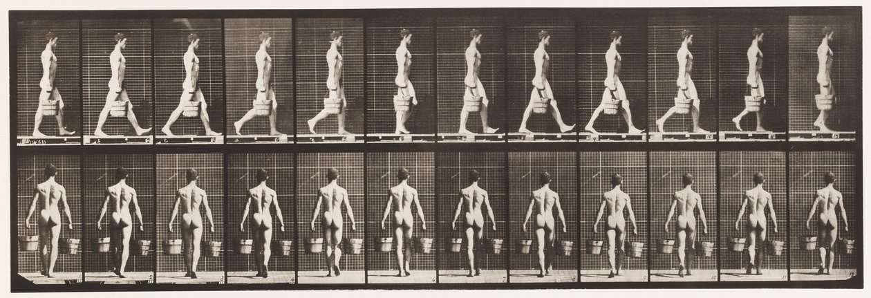Tafel 29. Gehen, einen Eimer Wasser in jeder Hand tragend, 1872-1885 von Eadweard Muybridge