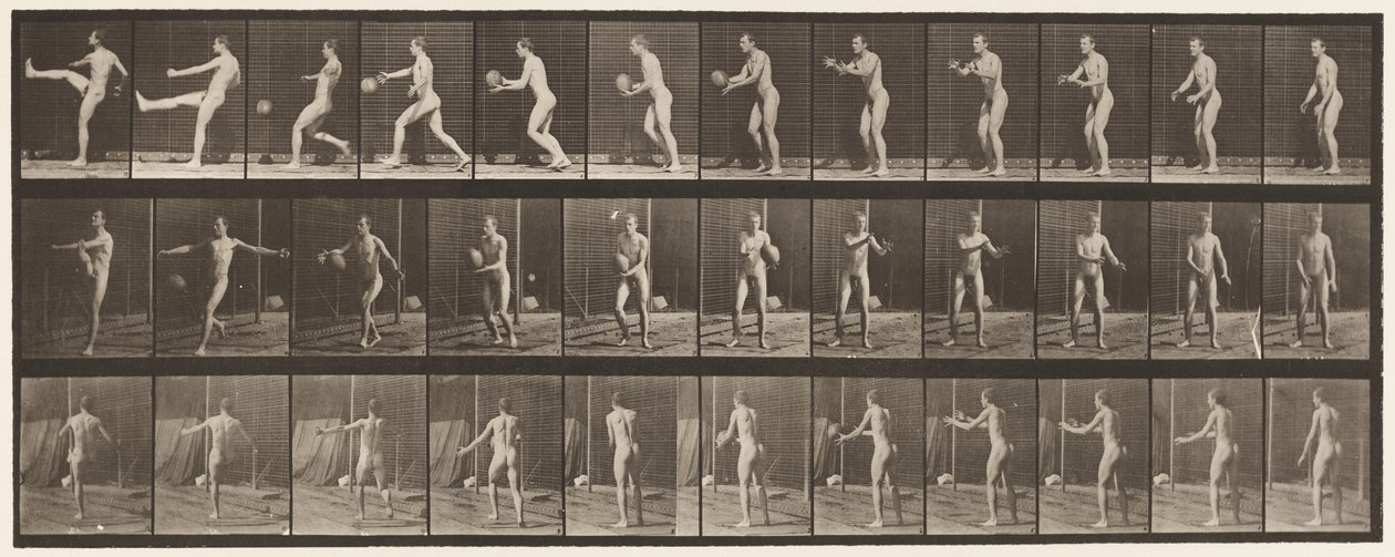 Tafel 301. Fußball; Punt, 1885 von Eadweard Muybridge