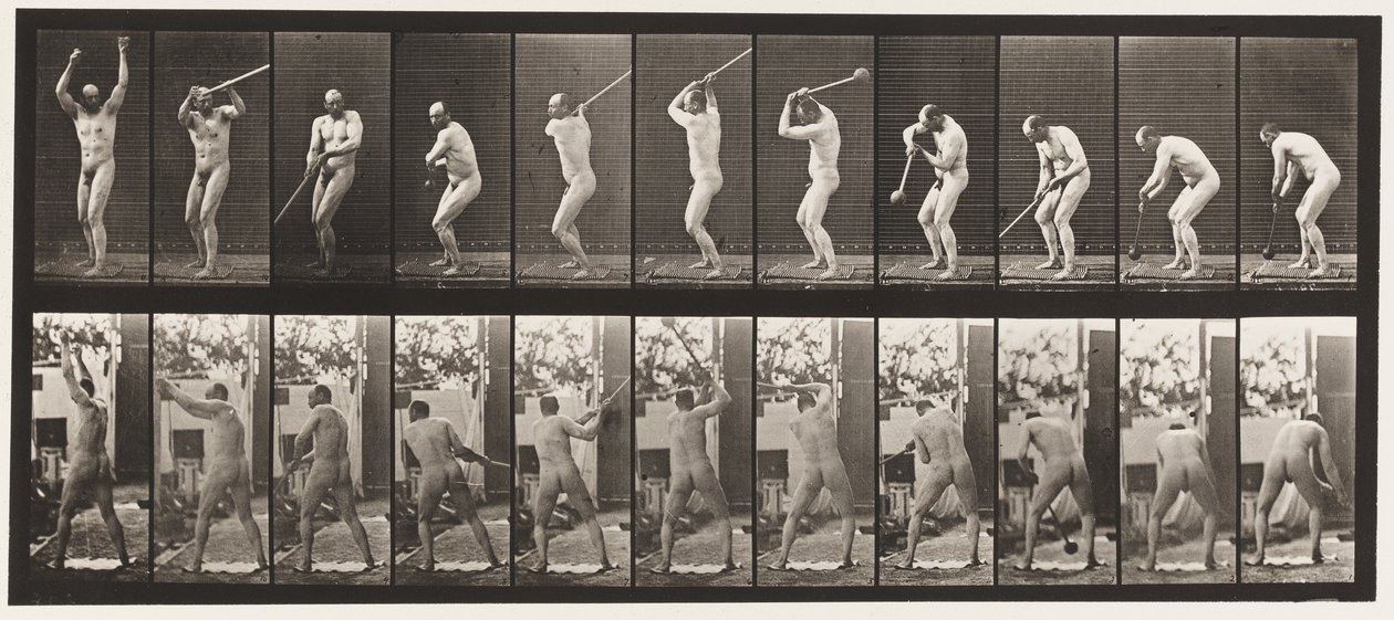 Tafel 308. Den Hammer werfen von Eadweard Muybridge