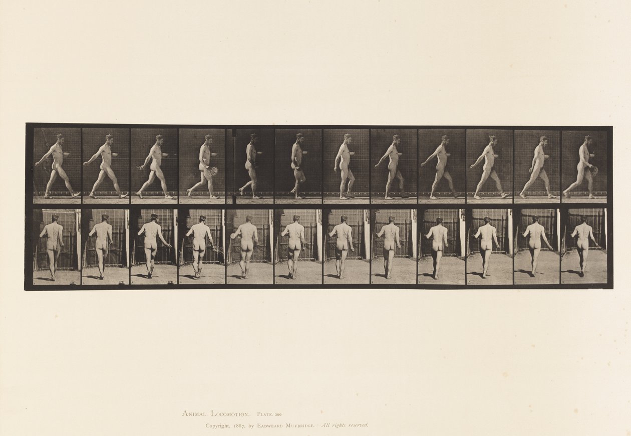 Tafel 389. Bauer, der Samen streut, 1872-1885 von Eadweard Muybridge