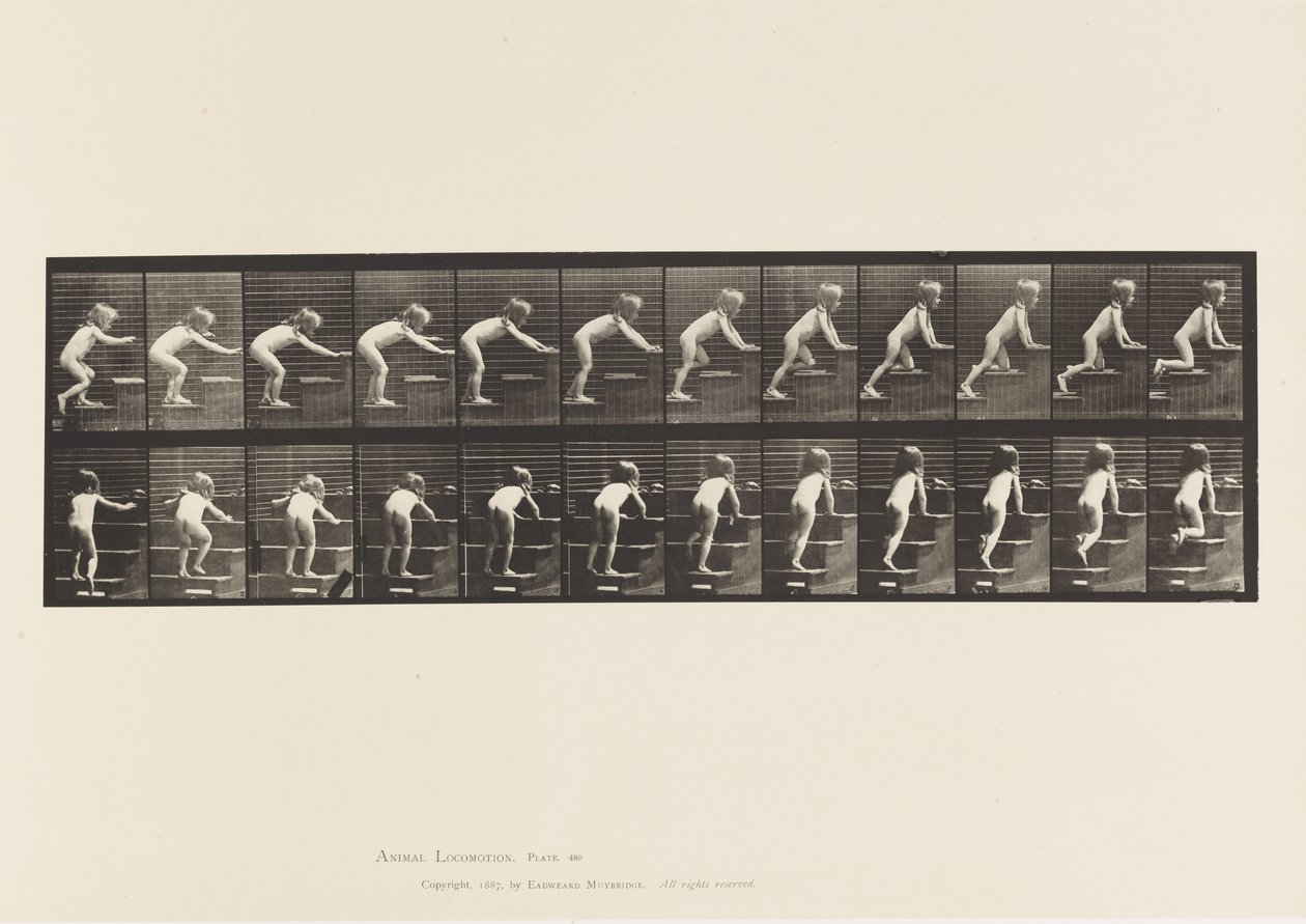 Tafel 480. Kind, Gehen und Krabbeln die Treppe hinauf von Eadweard Muybridge