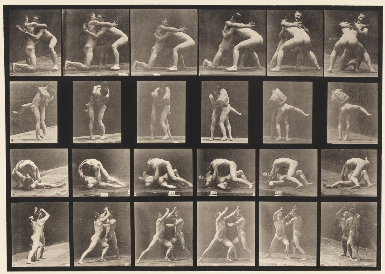 Tafel 520. A, 98 und 100 Ringen; B, 98 und 100 Ringen von Eadweard Muybridge