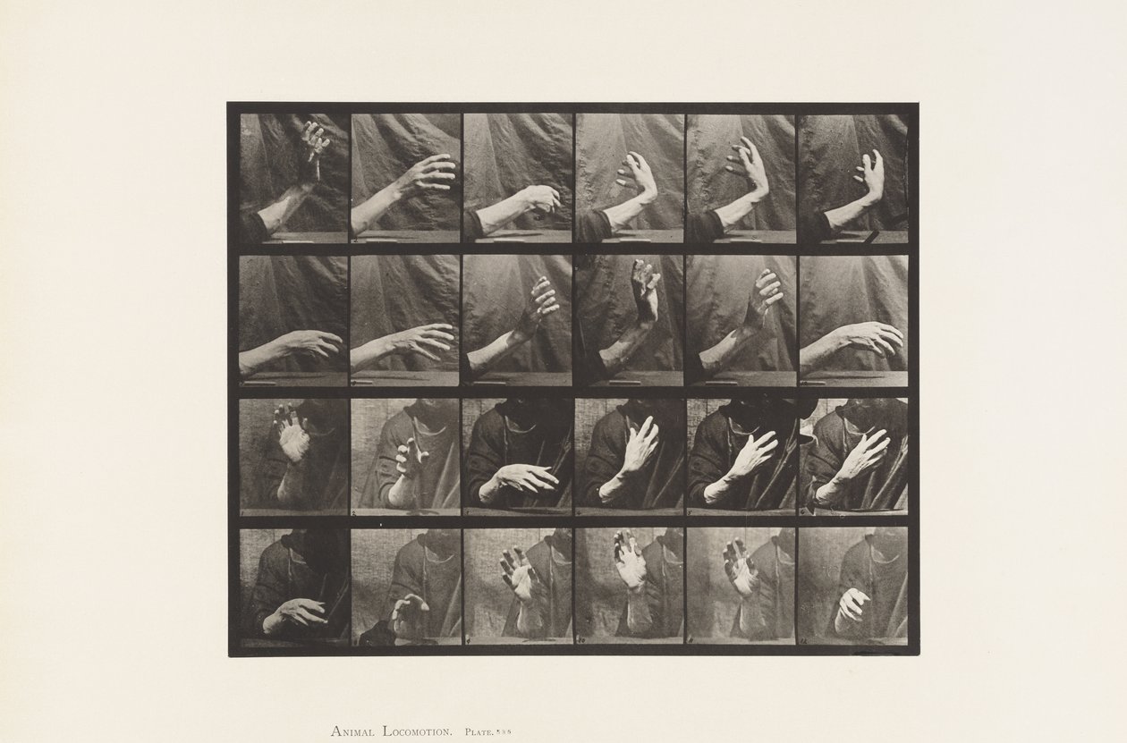 Tafel 535. Bewegung der Hand; Takt schlagen, 1885 von Eadweard Muybridge