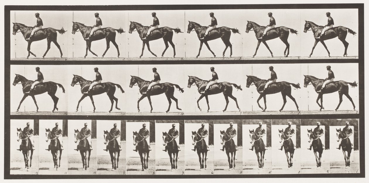 Tafel 580. Gehen; Sattel; Vollblut-Braune Stute Annie G., 1885 von Eadweard Muybridge