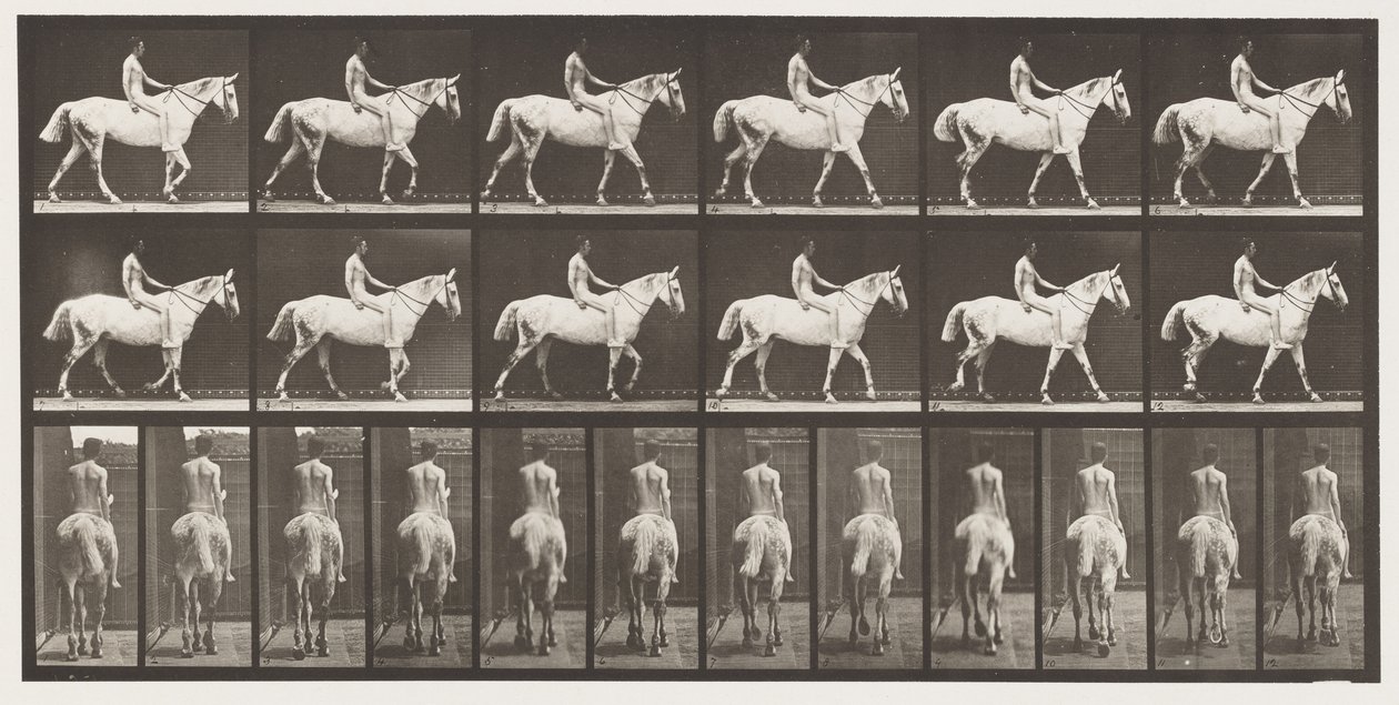 Tafel 581. Gehen; Ohne Sattel; Reiter, 43, nackt; Hellgraues Pferd Smith, 1885 von Eadweard Muybridge