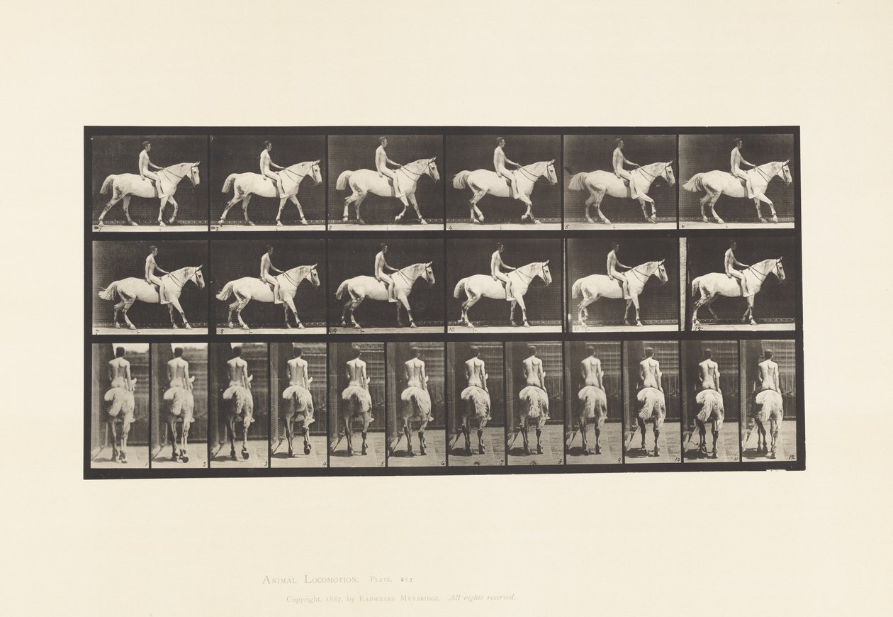 Tafel 582. Gehend; Sattel; Reiter, 43, Nackt; Hellgraues Pferd Smith von Eadweard Muybridge