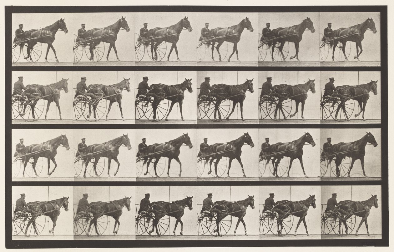 Tafel 587. Gehen; Sulky; Fuchsfarbene Stute Nellie Rose von Eadweard Muybridge