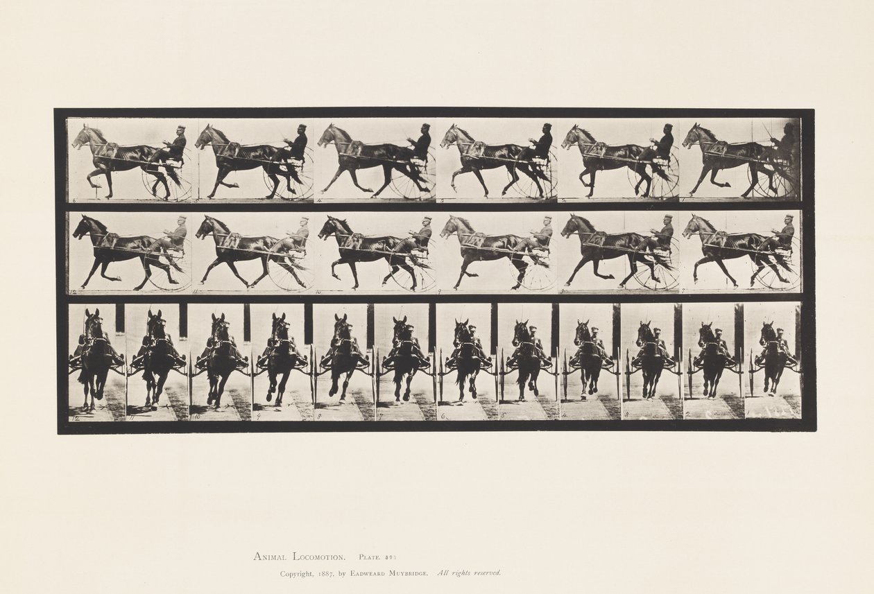 Tafel 595. Schaukelnd (Passgang): Sulky; Braunes Pferd Pronto von Eadweard Muybridge