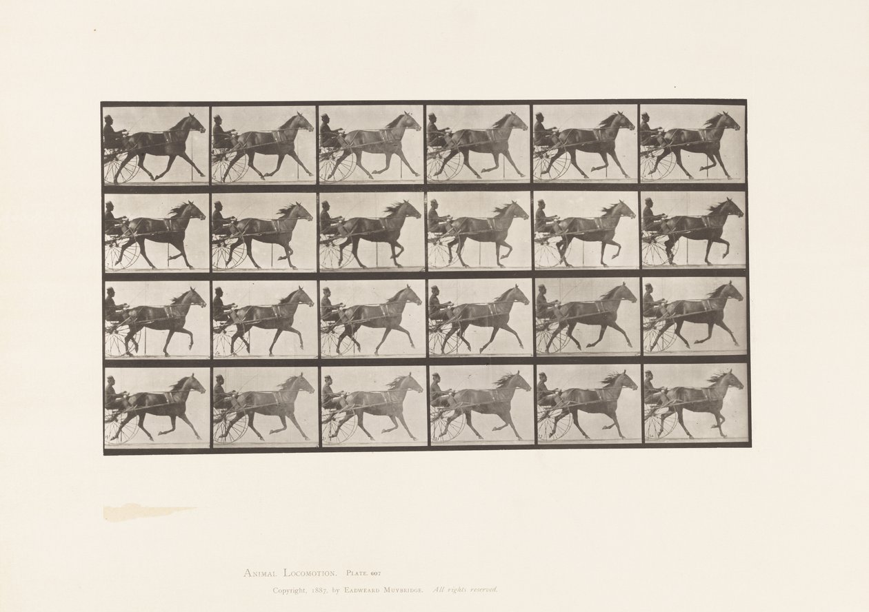 Tafel 607. Trabend; Sulky; Braune Stute, Lizzie M. von Eadweard Muybridge
