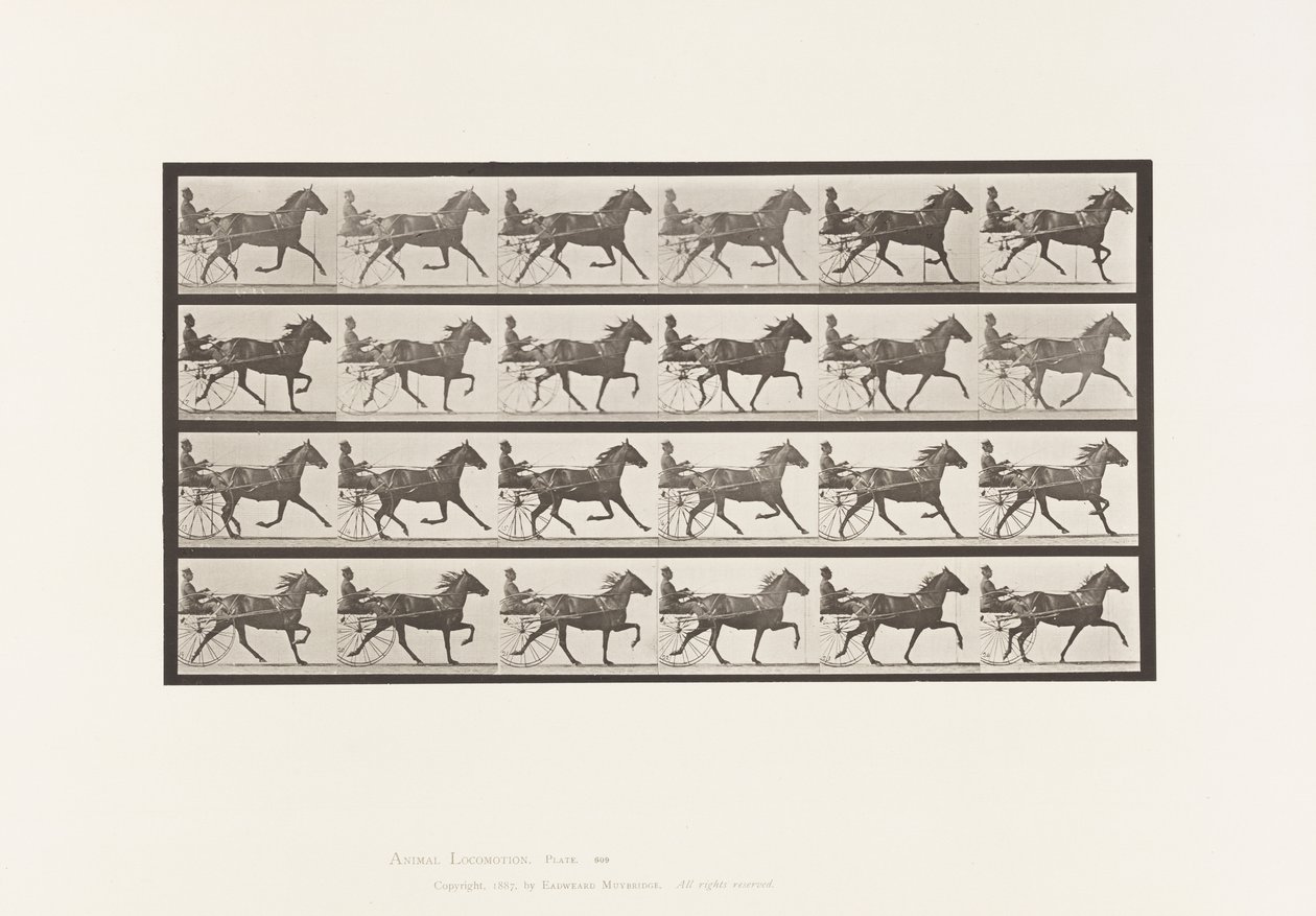 Tafel 609. Trabend; Sulky; Braune Stute Lizzie M. von Eadweard Muybridge
