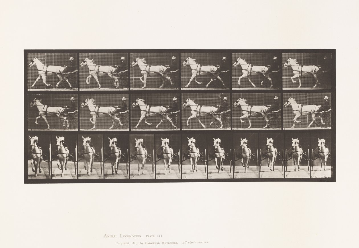 Tafel 610. Trabend; Sulky; Graue Stute, Katydid von Eadweard Muybridge