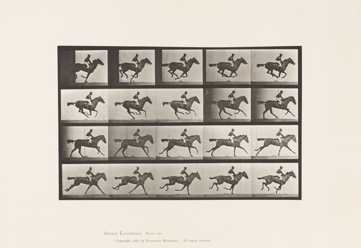 Tafel 627. Galopp; Vollblut-Braune Stute Annie G. von Eadweard Muybridge