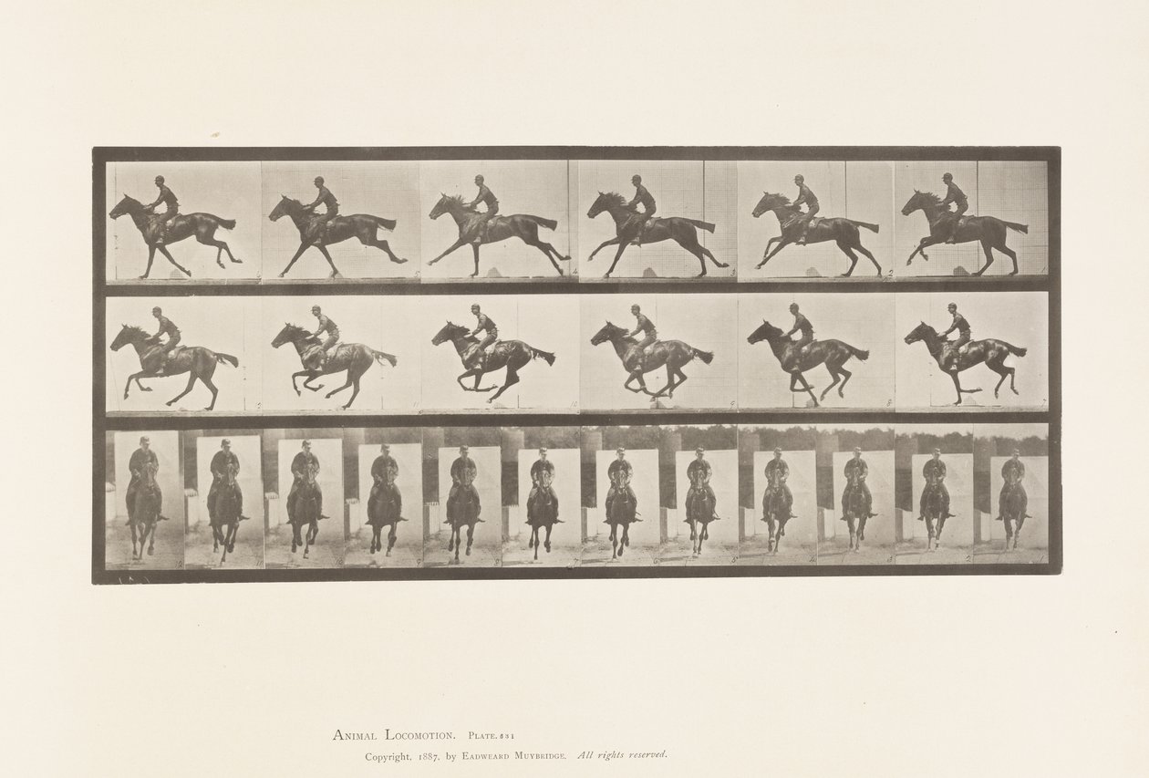 Tafel 631. Galopp; Sattel; Vollblut Braunes Pferd Bouquet von Eadweard Muybridge