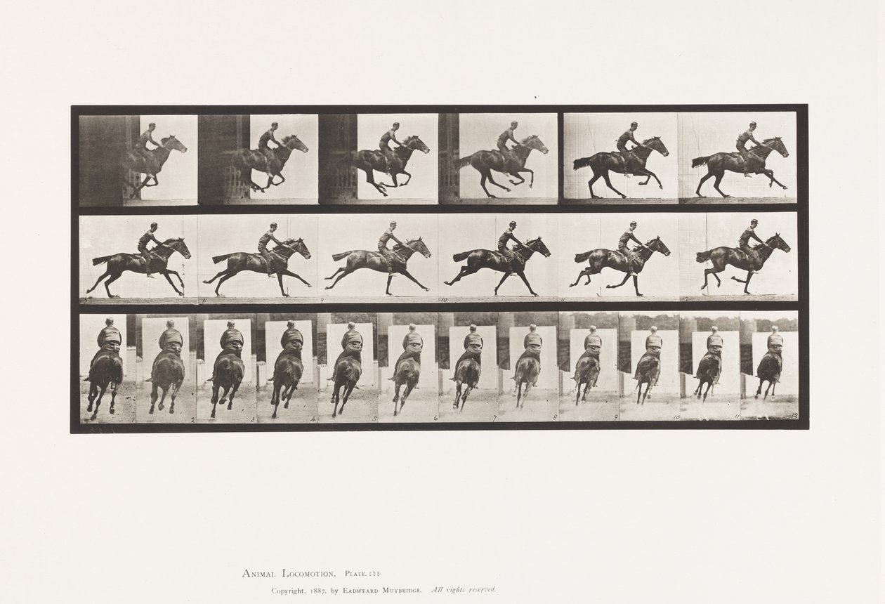 Tafel 633. Galopp; Sattel; Vollblut-Braunes Pferd Bouquet von Eadweard Muybridge