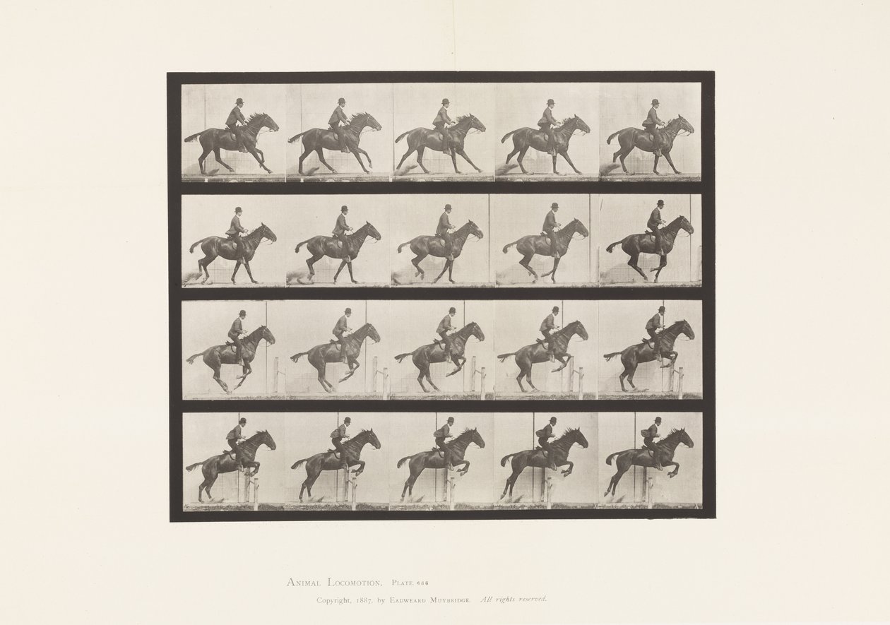 Tafel 636. Hürdensprung; Sattel; Vorbereitung auf den Sprung von Eadweard Muybridge