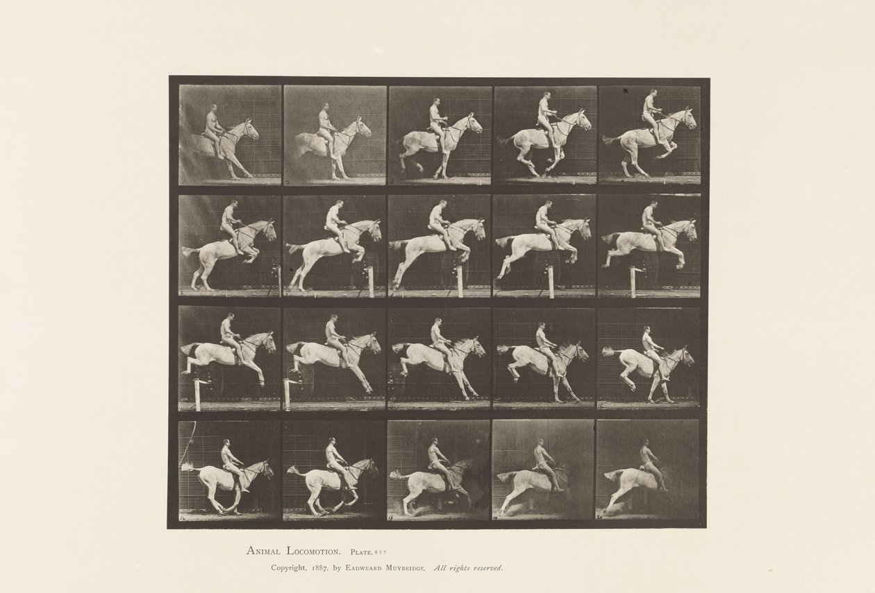 Tafel 642. Hürdensprung; Sattel; Reiter, 105, Nackt; graue Stute, 1885 von Eadweard Muybridge