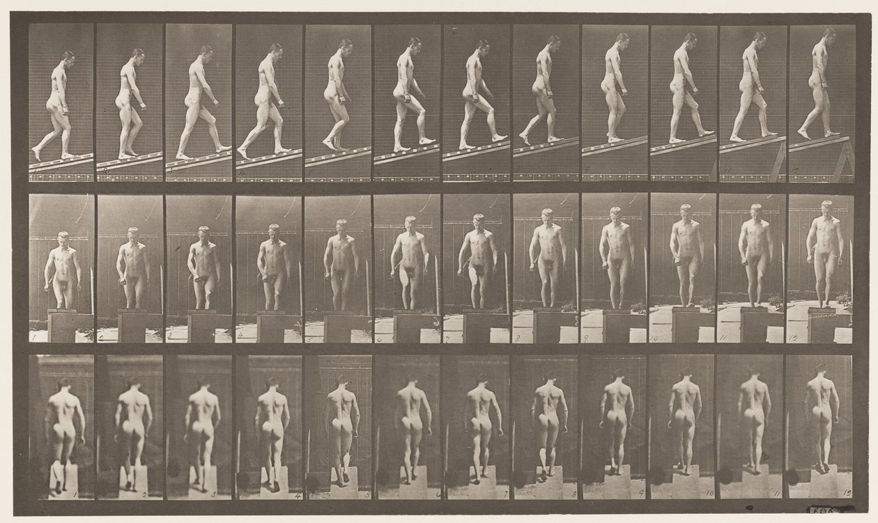 Tafel 74. Steigung hinaufsteigen, Winkel 1 zu 4 von Eadweard Muybridge