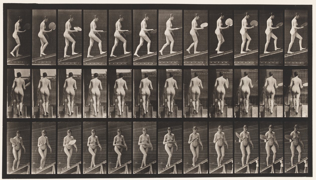 Aufsteigende Neigung, Fächer schwenkend von Eadweard Muybridge