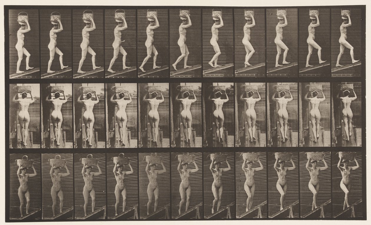 Tafel 80. Steigung hinaufsteigen von Eadweard Muybridge