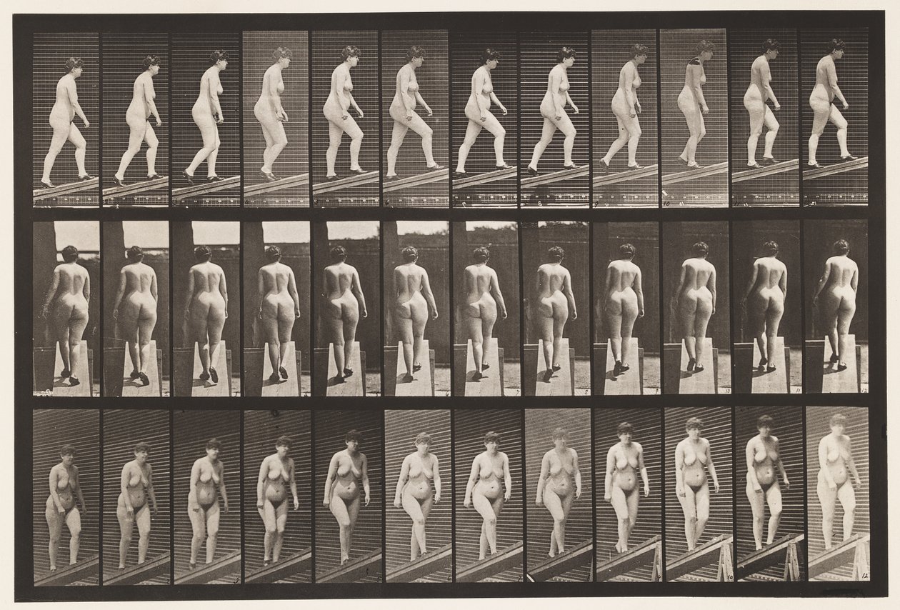 Tafel 86. Abwärts geneigt von Eadweard Muybridge