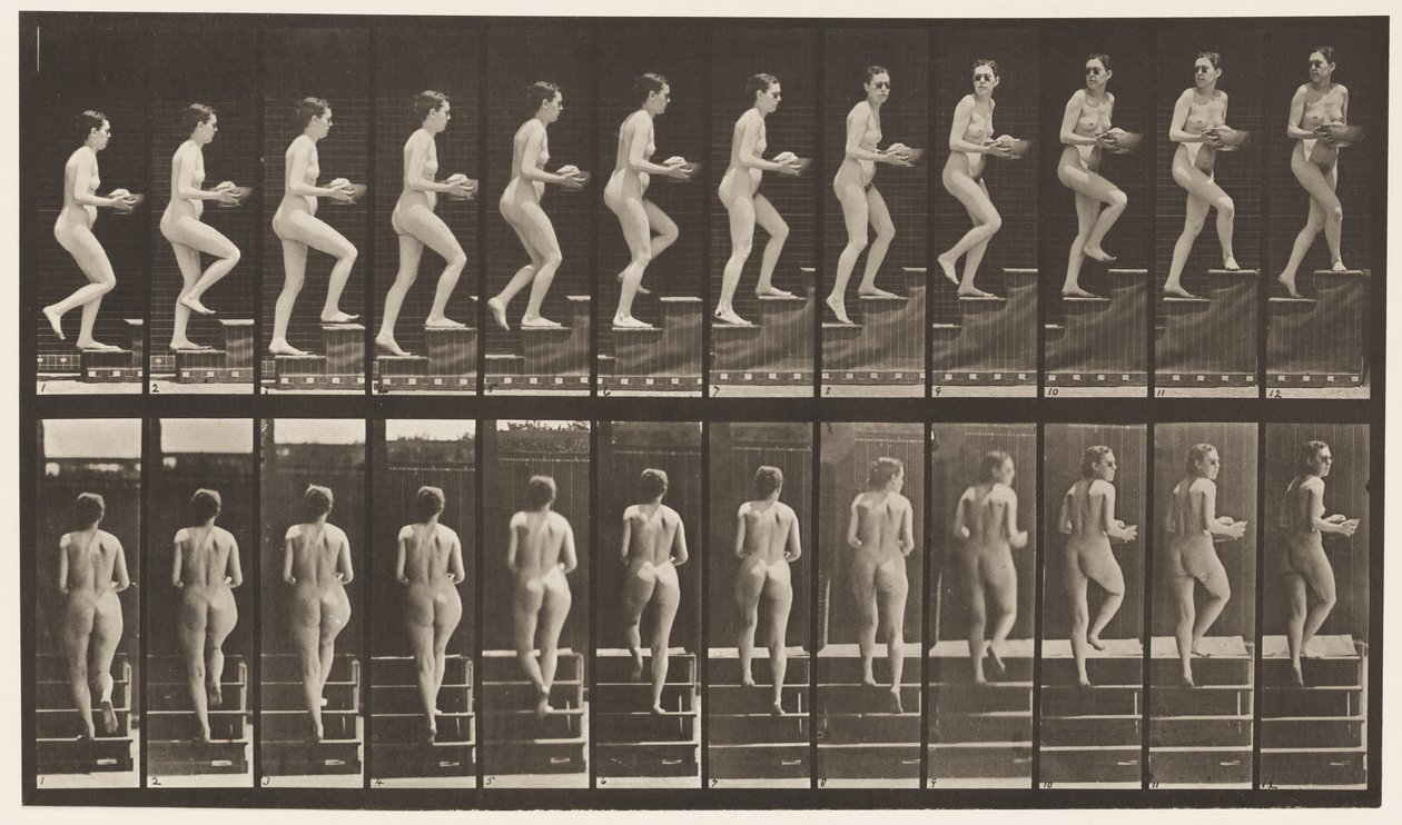 Tafel 94. Treppensteigen, Umschauen; Becken in den Händen von Eadweard Muybridge