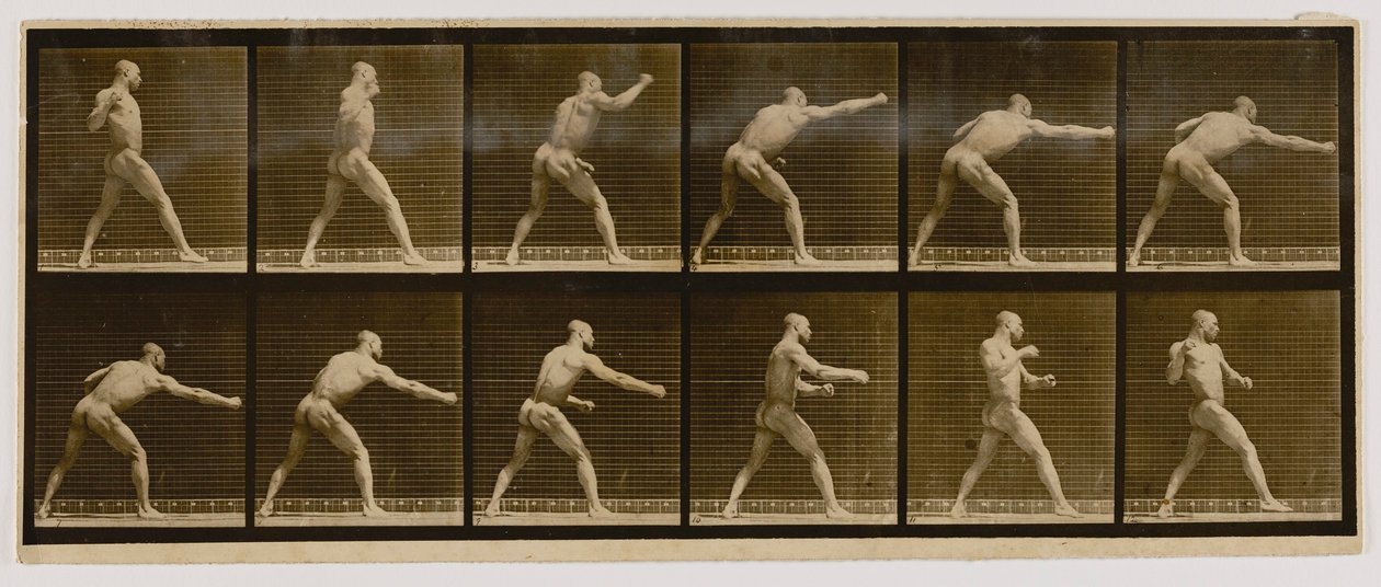 Boxer, der einen Schlag ausführt, aus dem Buch Animal Locomotion von Eadweard Muybridge