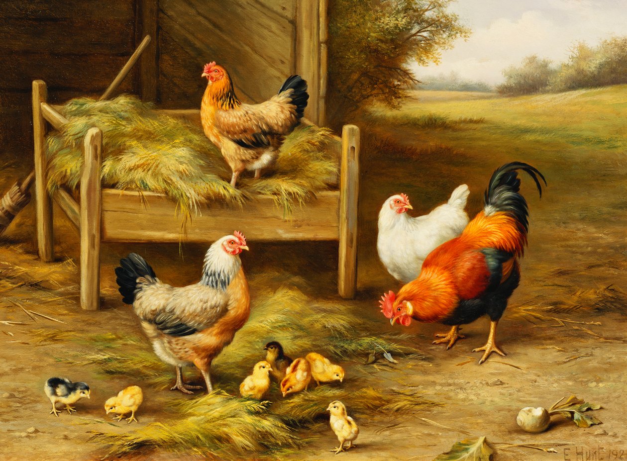 Hühner und Küken beim Füttern von Edgar Hunt