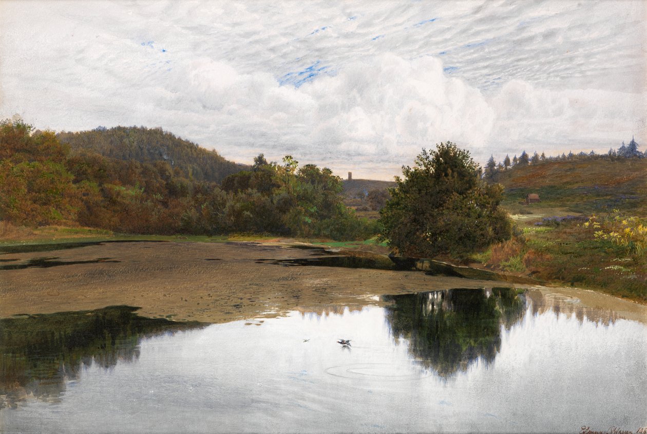 Leith Hill, von Broadmoor, Surrey von Edmund George Warren