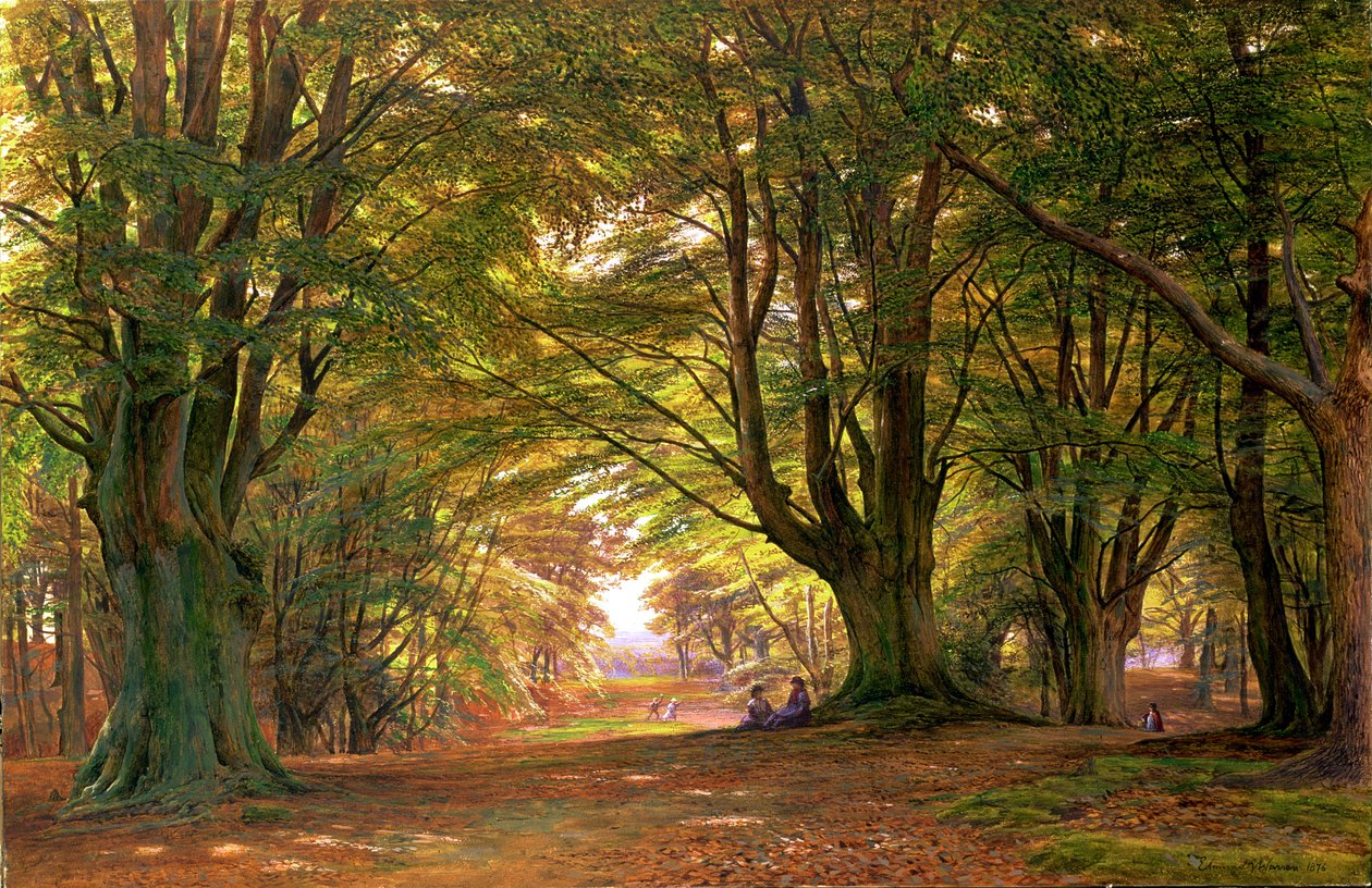 Spiel im Buchenwald, 1876 (Aquarell) von Edmund George Warren