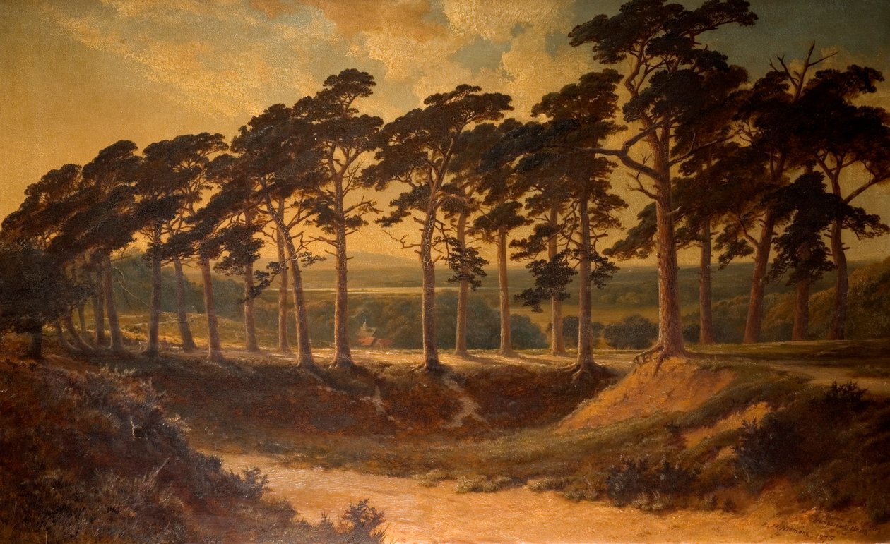 Harrow vom Ersten, Hampstead Heath, 1875 von Edmund John Niemann
