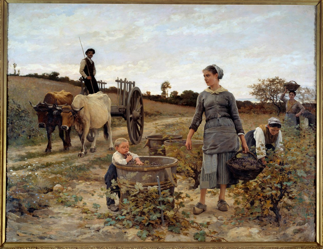 Ecke eines Weinbergs in Languedoc. Gemälde von Edouard Debat Ponsan (1847-1913) 1886 von Edouard Debat Ponsan