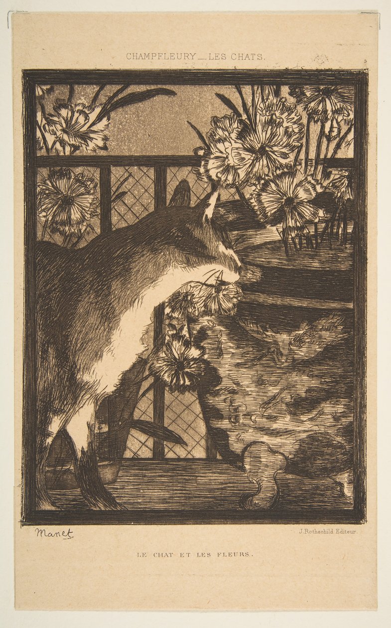 Katze und Blumen. Illustration zu Die Katzen von Champfleury, 1869 von Édouard Manet