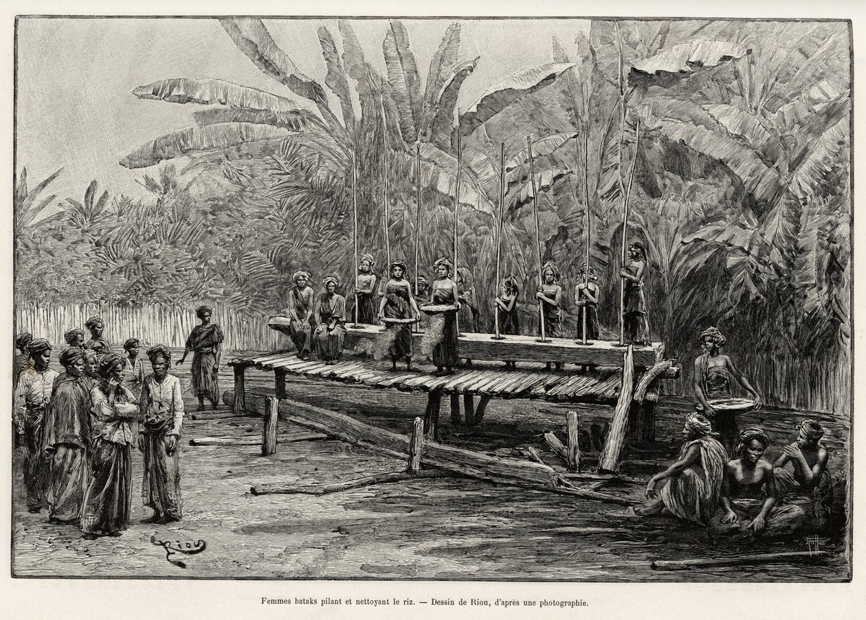 Batak-Frauen, ethnische Gruppe von Nord-Sumatra, stampfen und reinigen Reis. Gravur von Riou zur Illustration der Geschichte „Ein Jahr in Malaysia“, von Jules Claine (1856-1939) von Edouard Riou