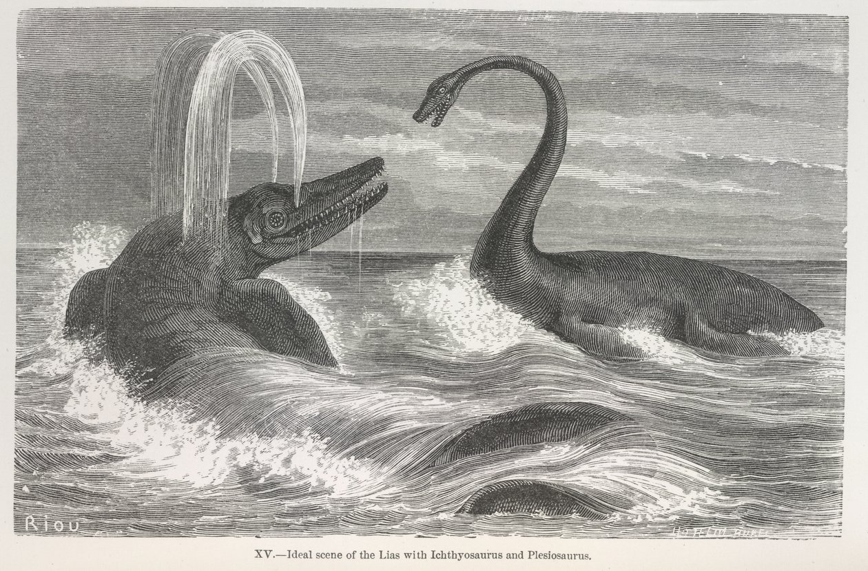 Ideale Szene des Lias mit Ichthyosaurus und Plesiosaurus von Edouard Riou