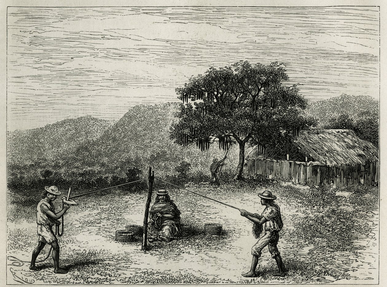 Die Herstellung der Cabuya, Schnur aus Fourcroya, in der Nähe von Cartago (Kolumbien), Gravur von Riou, zur Illustration der Geschichte von Equinoxiale America von E. Andre, Missionsauftrag der französischen Regierung, veröffentlicht in Le tour du monde, u von Edouard Riou
