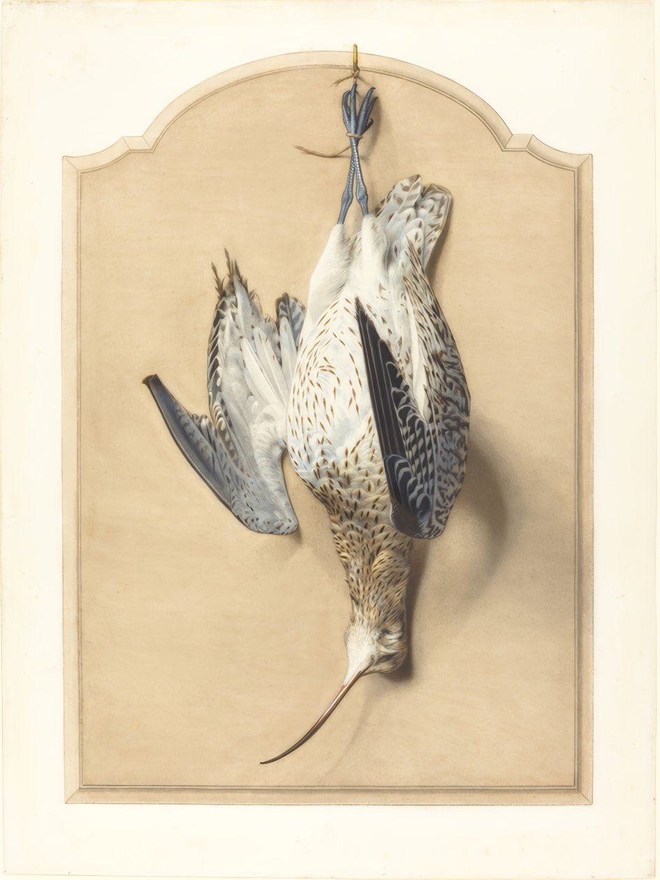 Trompe l’Oeil: Ein Brachvogel an einem Nagel hängend von Edouard Travies