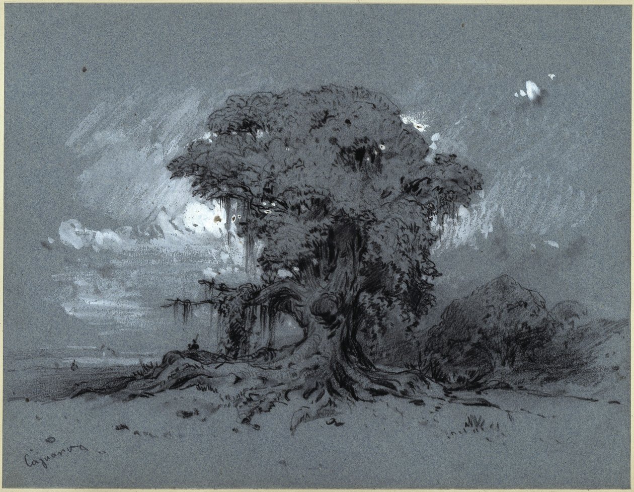 Alter Baum von Eduard Hildebrandt