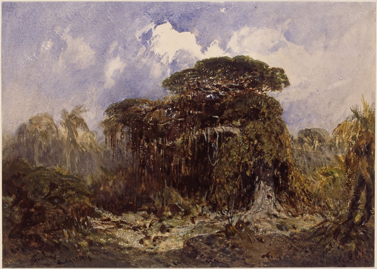 Waldstudie von Eduard Hildebrandt