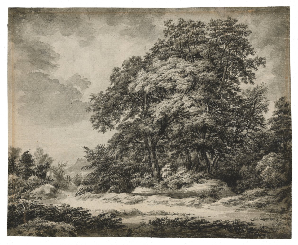 Waldlandschaft (recto), ca. 1838-1848 von Edward Lear