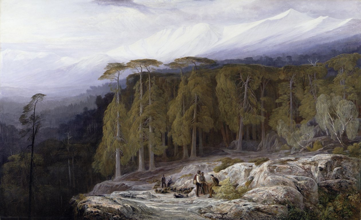 Der Wald von Valdoniello, Korsika, 1869 von Edward Lear